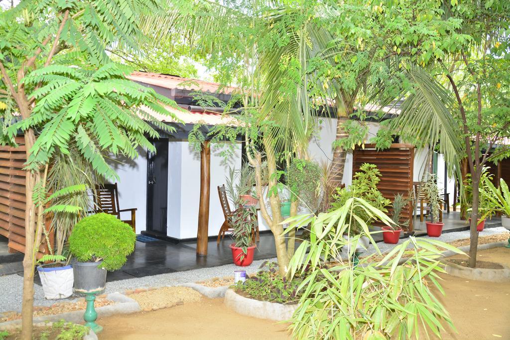 Livinginn Polonnâruvâ Extérieur photo